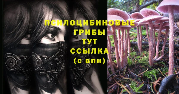 альфа пвп Армянск