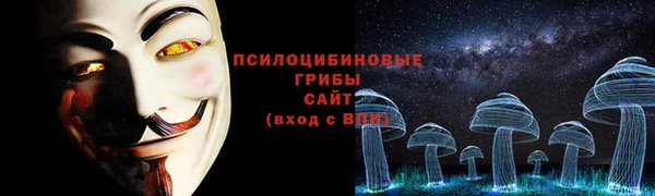 соль ск Арсеньев