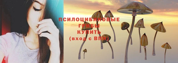 соль ск Арсеньев